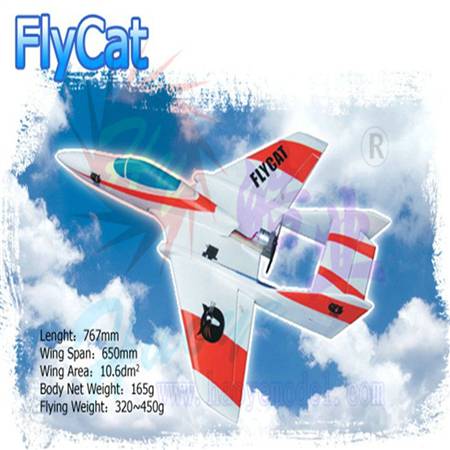 HY028-007-01 Fly Cat