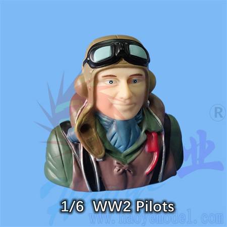 HY031-00201  WW2 Pilots